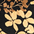 Golden Blossom