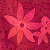 Azalea Red