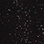 Glitter Black Glitter Black