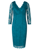 Anya Lace Occasion Dress Dragonfly by Alie Street