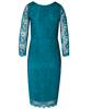 Anya Lace Occasion Dress Dragonfly by Alie Street