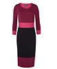 Colour Block Day Dress Berry by Tiffany Rose