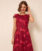 Charlotte Lace Dress (Azalea Red) by Alie Street