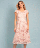 Robe Charlotte en dentelle (Rose Corail) by Alie Street