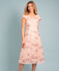 Robe Charlotte en dentelle (Rose Corail) by Alie Street