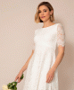 Evie Lace Dress short Ivory by Alie Street