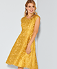 Paris Occasion Dress Short Saffron Gold by Alie Street London