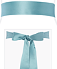 Smooth Satin Sash Long (Peppermint) by Alie Street