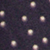 Polka Dot Navy Polka Dot Navy