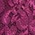 Orchid Pink Orchid Pink