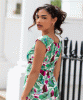 Pippa Shift Dress Petite (Paradise Green) by Alie Street Pippa Shift Dress Petite (Paradise Green) by Alie Street