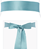 Smooth Satin Sash Long (Peppermint) by Alie Street Smooth Satin Sash Long (Peppermint) by Alie Street